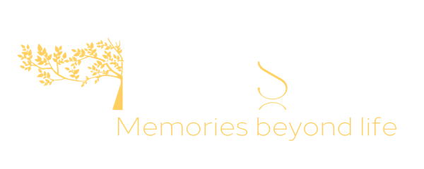 Timesule